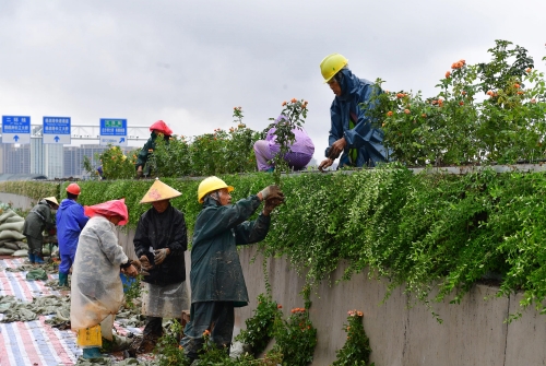 �ʰ��ɡ�(�й���)���޹�˾����