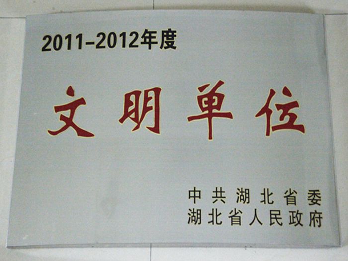 �ʰ��ɡ�(�й���)���޹�˾����