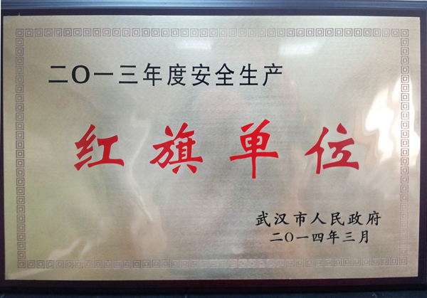 �ʰ��ɡ�(�й���)���޹�˾����