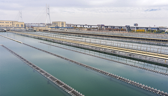 �ʰ��ɡ�(�й���)���޹�˾����