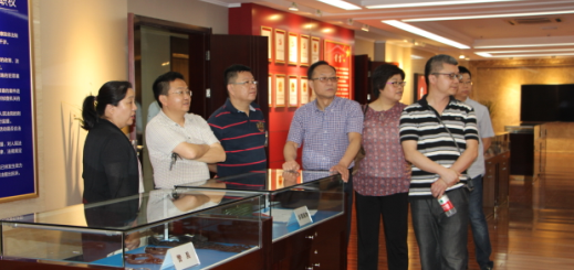 �ʰ��ɡ�(�й���)���޹�˾����