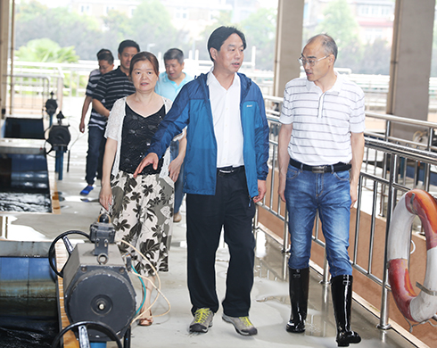 彩八仙·(中国游)有限公司官网