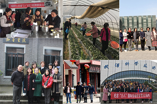 ²Ê°ËÏÉ¡¤(ÖйúÓÎ)ÓÐÏÞ¹«Ë¾¹ÙÍø