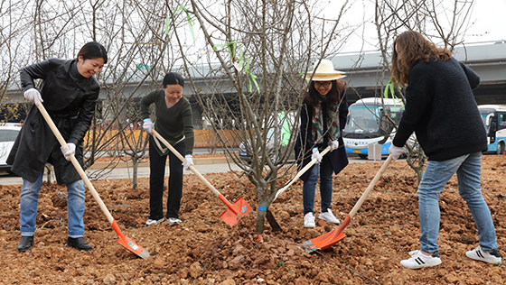 �ʰ��ɡ�(�й���)���޹�˾����