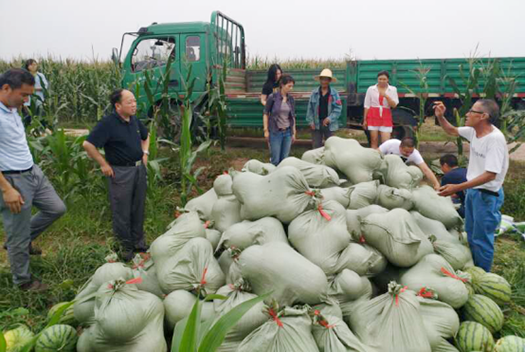 �ʰ��ɡ�(�й���)���޹�˾����