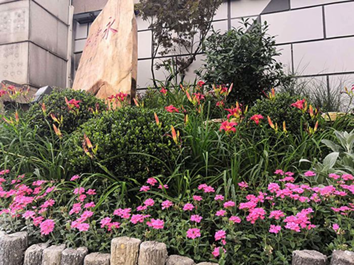 �ʰ��ɡ�(�й���)���޹�˾����