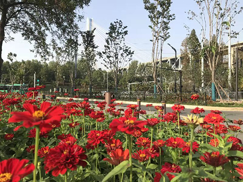 �ʰ��ɡ�(�й���)���޹�˾����