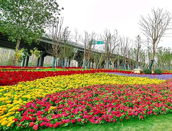 �ʰ��ɡ�(�й���)���޹�˾����