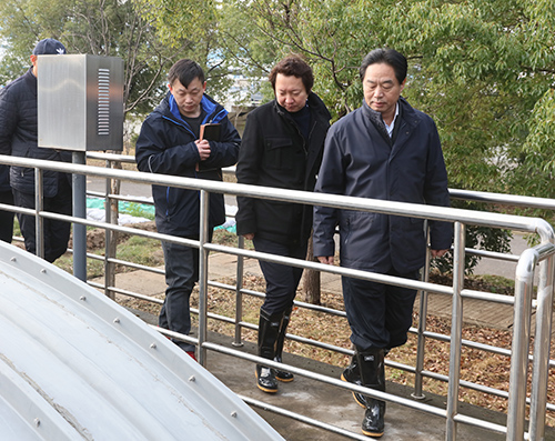 彩八仙·(中国游)有限公司官网