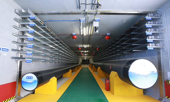 �ʰ��ɡ�(�й���)���޹�˾����