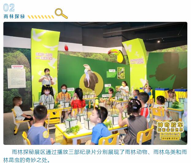 �ʰ��ɡ�(�й���)���޹�˾����